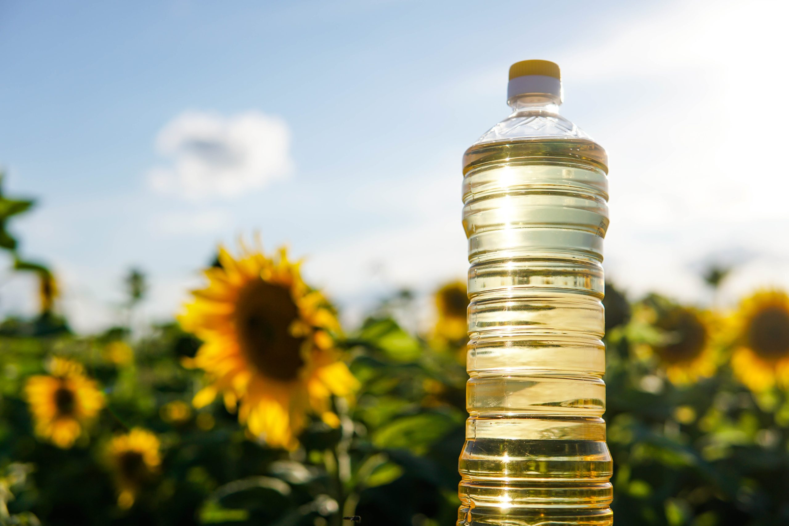 Ayçiçeği Tohumu ve Yağında Gümrük Vergisi Artışı: Piyasaya Etkileri Neler?