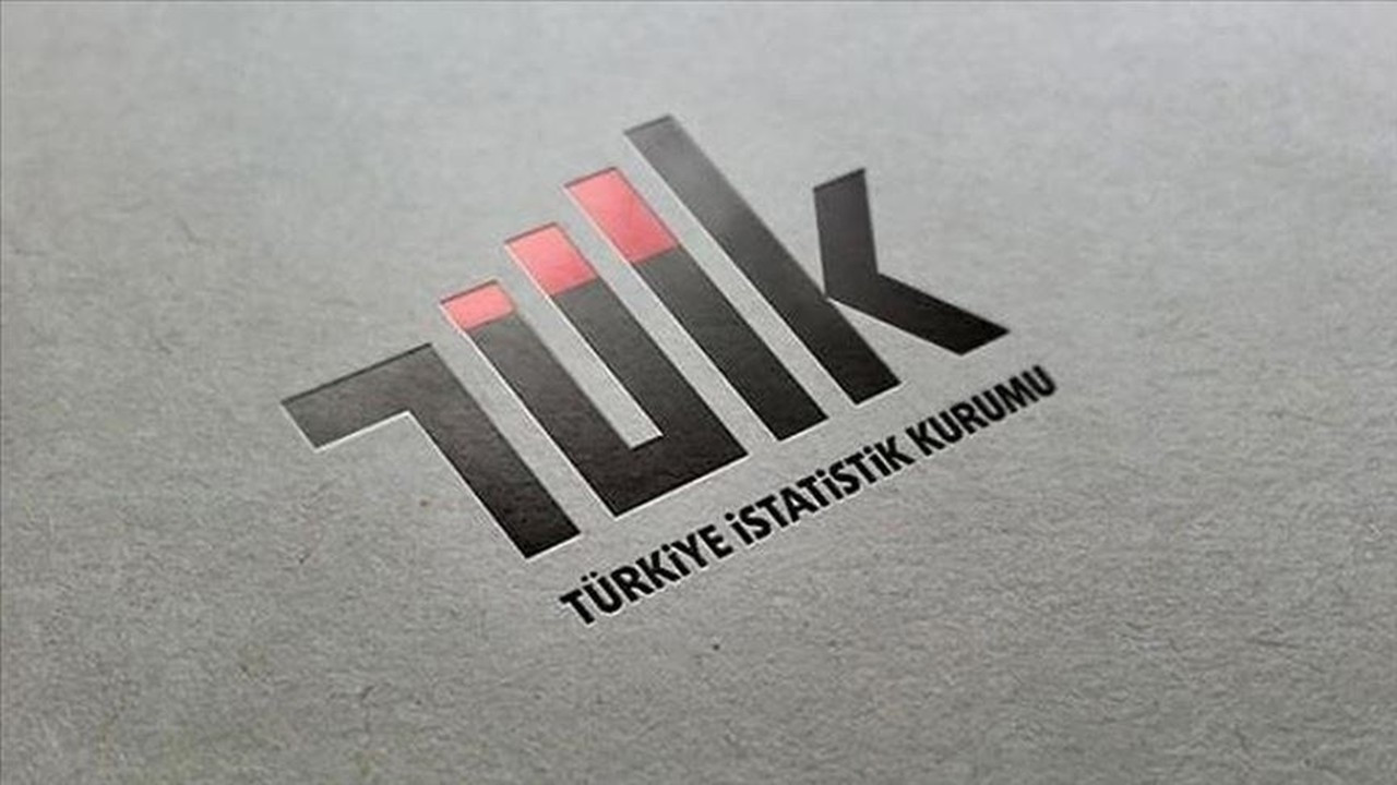 TÜİK’ten İlk Sosyoekonomik Seviye Bülteni: Hane Halkı Mercek Altında