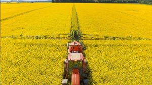 14 Bin Dekar Atıl Tarım Arazisi Üretime Kazandırılıyor: Bakanlık Kiralıyor