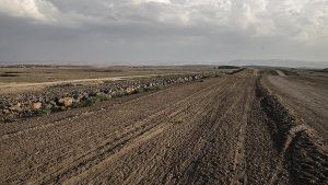 Ekilmeyen Araziler Kiraya Verilecek: Yeni Düzenleme ile Üretimde Artış Hedefleniyor