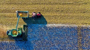 Tarım ÜFE Eylül 2025: Çiftçi Enflasyonu Yükseldi, Yıllık Artış %46,83