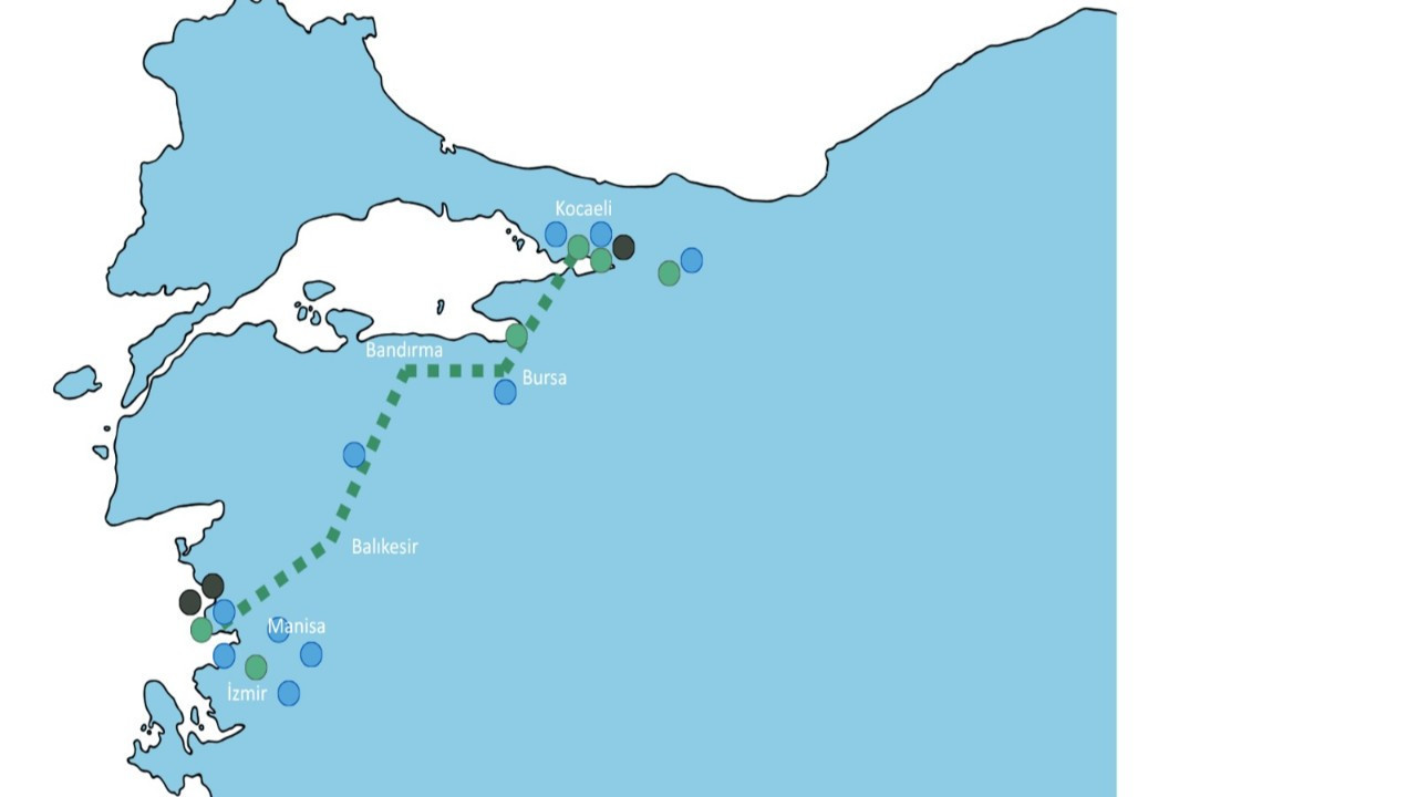 Yeşil Hidrojen Üreticilerinden 500 Km Boru Hattı ile Kullanım Hamlesi