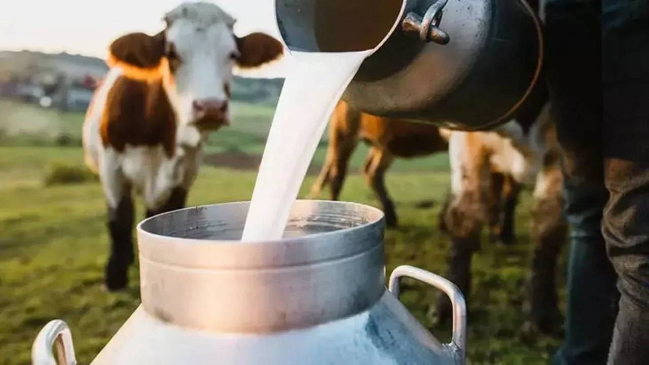 Çiğ İnek Sütü Sınıflandırmasında Yeni Düzenleme: Yağ Oranları Değişti