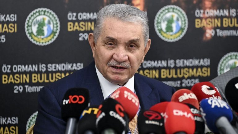 Orman İşçileri Grev Uyarısı: Toplu Sözleşme Görüşmelerinde Kritik Süreç