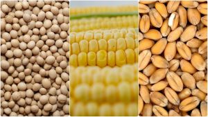 Ticaret Uzlaşmaları Emtia Piyasasında Hareketi Artırdı, Gözler Fed’de