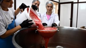 Bilecik Karpuzu Pekmezle Değerlendi: Üreticiye 25 Kat Daha Fazla Kazanç