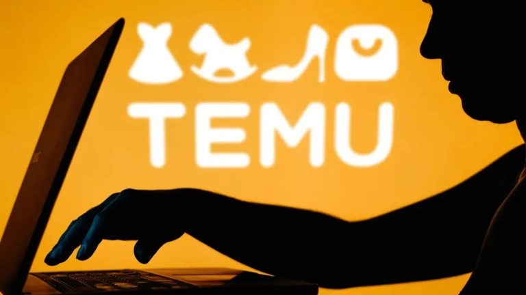 AB’den Çinli E-Ticaret Devi Temu’ya “Riskli Ürün” DSA Uyarısı