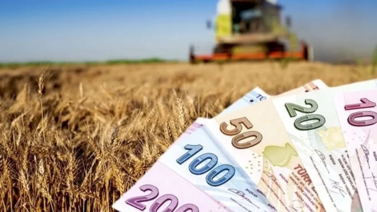 Tarım Sigortası Üreticiyi Korudu: 7,3 Milyar TL Hasar Ödemesi Yapıldı