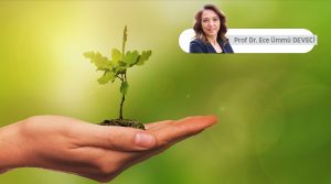 Sanayide Yeşil Dönüşüm: Sıfır Kirlilik Hedefiyle Yönetmelik ve Fırsatlar