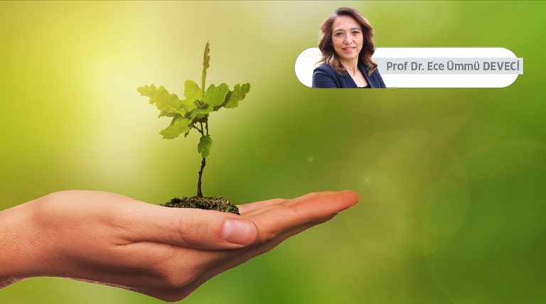 Sanayide Yeşil Dönüşüm: Sıfır Kirlilik Hedefiyle Yönetmelik ve Fırsatlar