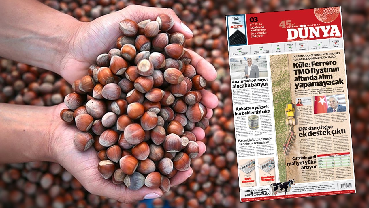 Ferrero Fındık Kararı: İstinaf Mahkemesi Yürütmeyi Durdurdu, Üretici Rahat Nefes Aldı