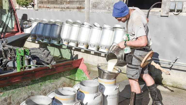 Küçük Aile Süt İşletmelerinde Üretim Maliyeti Büyük İşletmelere Göre Yüksek
