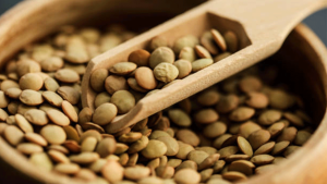 Yozgat Yeşil Mercimek Üretiminde Zirvede: Türkiye İhtiyacının %38’ini Karşılıyor