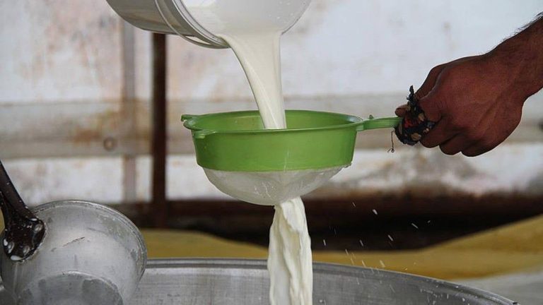 Süt Üreticisi Fiyata Tepkili: %7 Zam Hayal Kırıklığı Yarattı