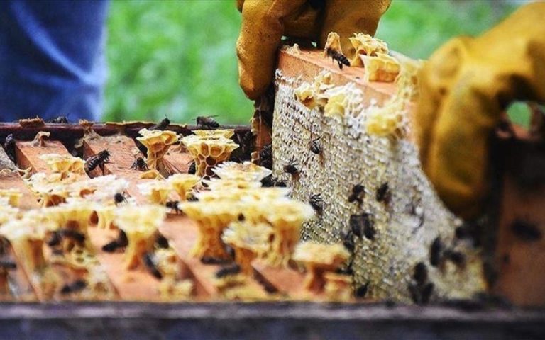 İhracat Verileri: Güncel Durum, Piyasalar ve Beklentiler