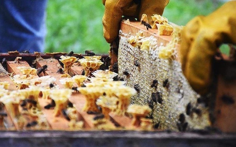 İhracat Verileri: Son Gelişmeler ve Piyasa Üzerindeki Etkileri