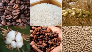 Emtia Piyasaları Dalgalı Seyirde: Altın Geriledi, Petrol Hafif Toparlandı