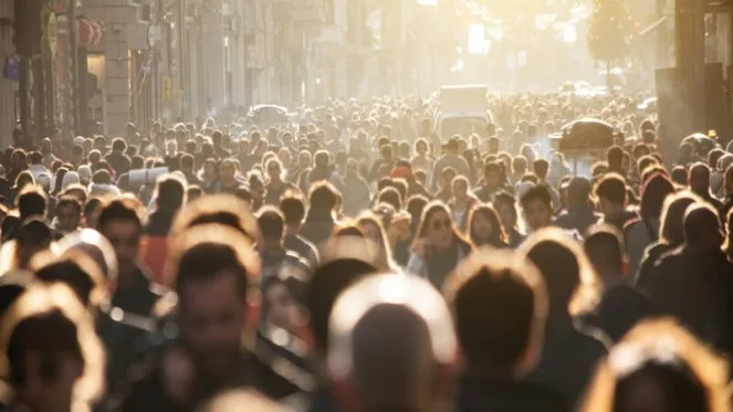Türkiye İşsizlik Oranı Yükseldi: 2025 2. Çeyrek TÜİK Verileri