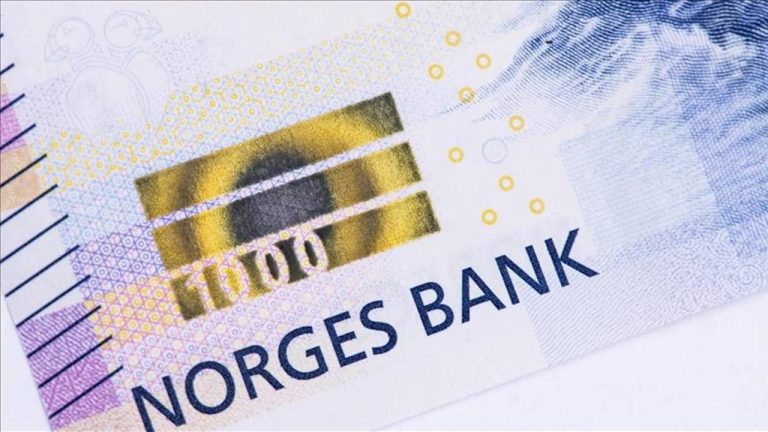 Norveç Varlık Fonu 2025 İlk Yarısında Yüzde 5,7 Getiri Elde Etti