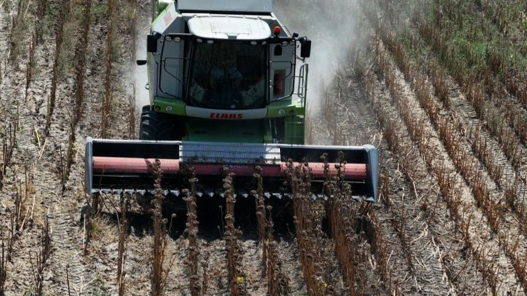 Tarımda Enerji Verimliliğine Büyük Destek: 209 Milyon TL Hibe