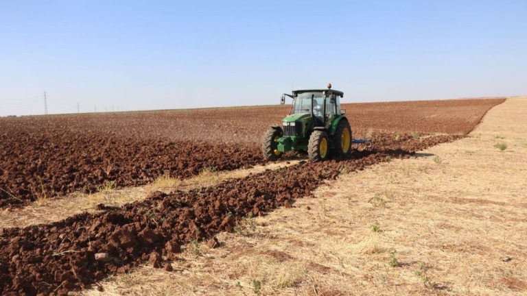 Çiftçilere Müjde! 116,3 Milyon TL Tarımsal Destek Ödemesi Hesaplara Yatıyor