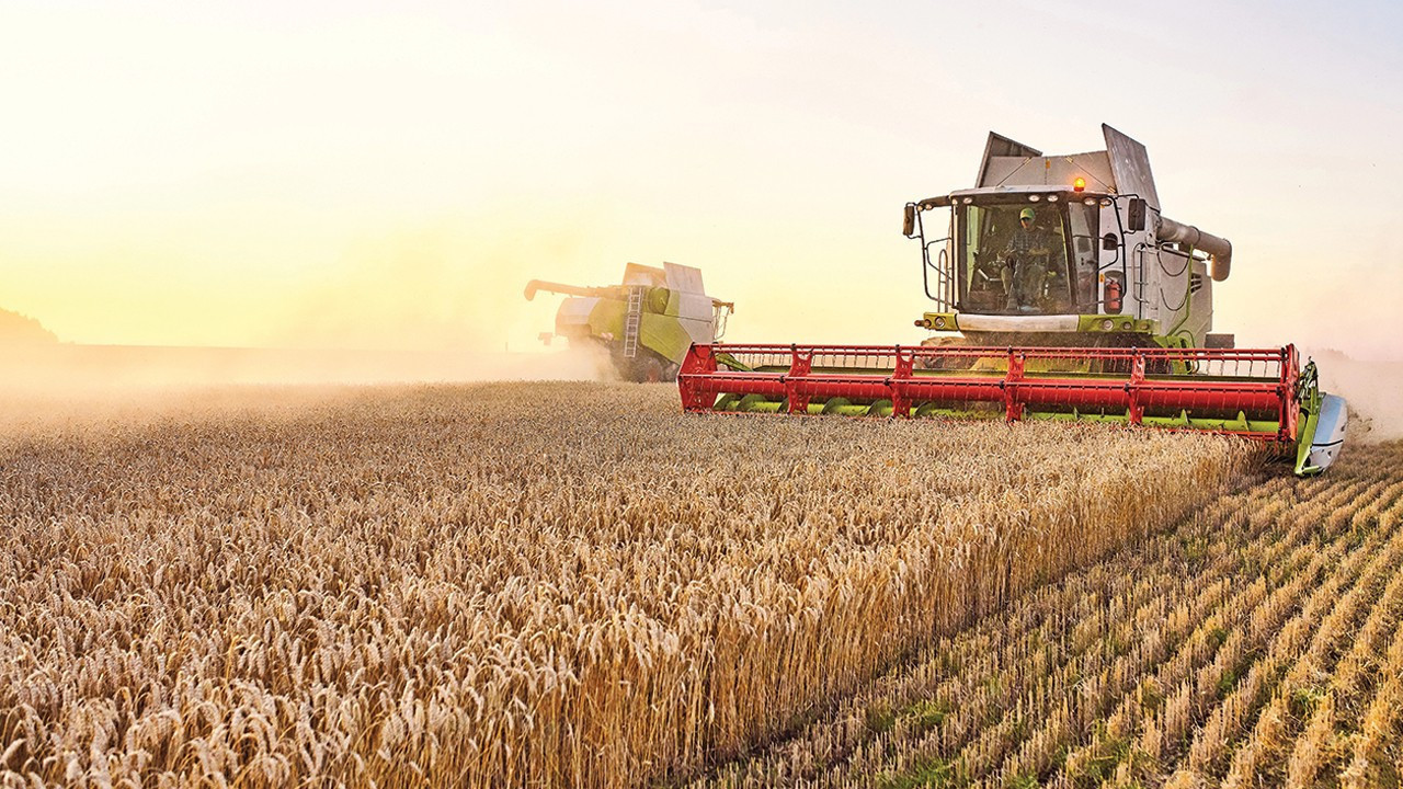 Bitkisel Üretim Desteklerinde Soya Üreticisine Ek Ödeme: Yeni Düzenleme