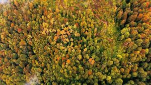 İklim Kanunu’nda Adil Geçiş Zayıflığı: TEPAV’dan Kapsamlı Değerlendirme