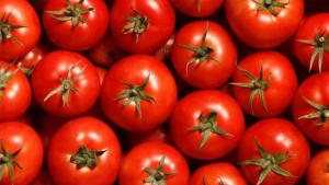 Antalya’da Domates Fiyatları Rekor Kırdı: Yıllık Artış Yüzde 47’yi Aştı