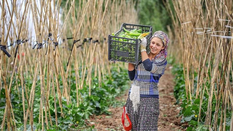 Gençlere Tarım Desteği: Bedelsiz Arazi ve Düşük Faizli Kredi İmkanı