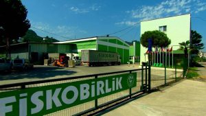 FİSKOBİRLİK 2025 Fındık Alımına 11 Ağustos’ta Başlıyor