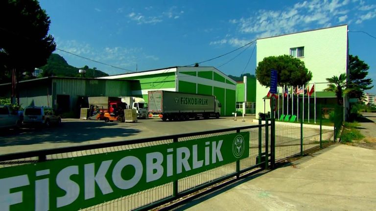 FİSKOBİRLİK 2025 Fındık Alımına 11 Ağustos’ta Başlıyor