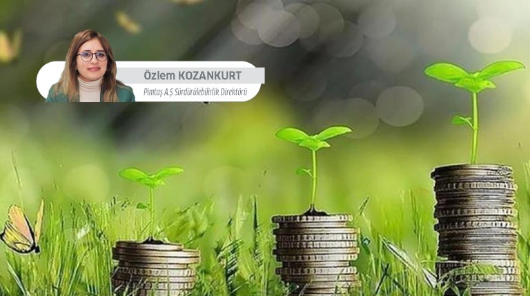 İklim Ekonomisi Yükselişi: Fırsatlar, Dönüşüm ve Yeni Finansal Gerçekler