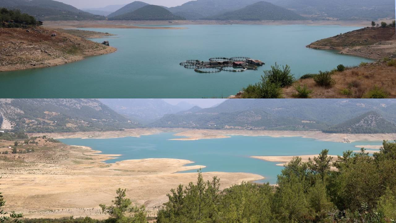 Çukurova’da Kuraklık Alarmı: Narenciye Üretimi Tehlikede, Kozan Barajı Alarm Veriyor