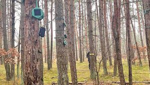 Ağaç Perisi Ormanları Koruyacak: Yangınlara Karşı Erken Uyarı Sistemi