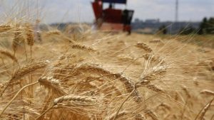 ÇKS Başvuruları Yarın Başlıyor: Kamu Arazisi Üreticileri İçin Yeni Dönem