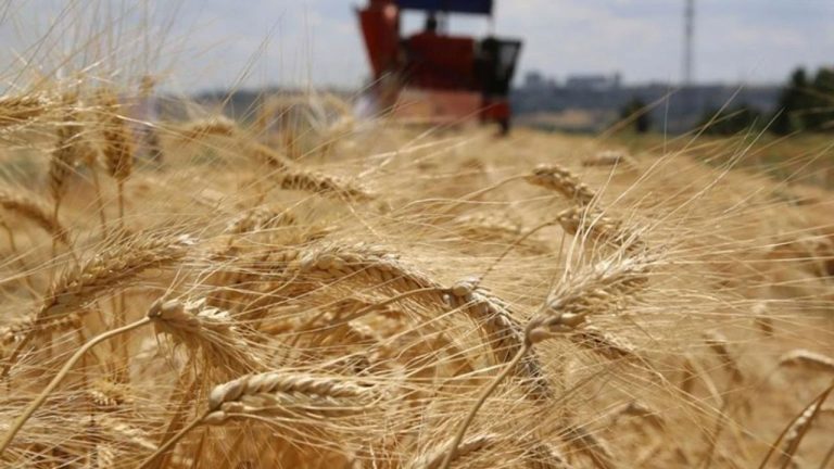 Çiftçiye Destek Müjdesi: 772 Milyon TL’lik Tarımsal Destek Ödemesi Yapılıyor