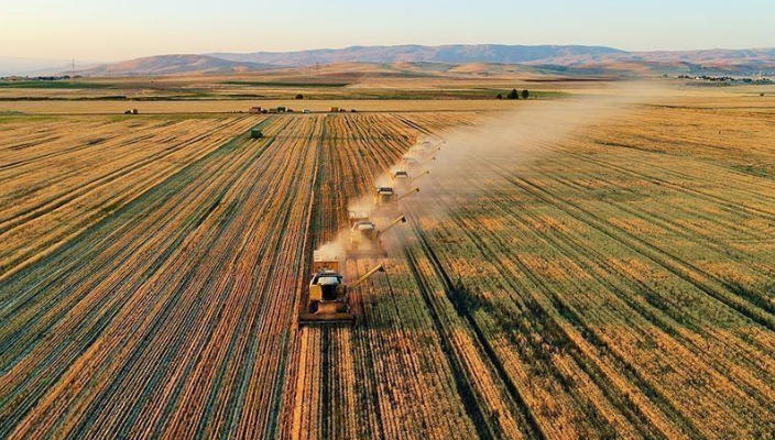 Tarım ÜFE Temmuzda Düştü: Çiftçi Enflasyonu Yüzde 5,66 Geriledi