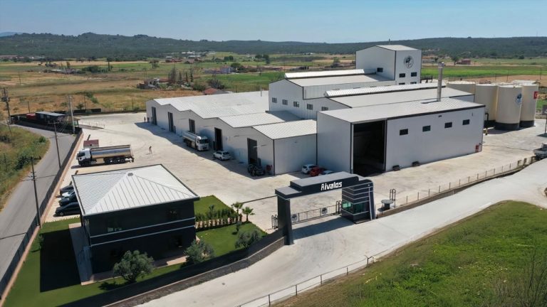 Aivalos Zeytinyağları: Ege’nin Lezzeti Zincir Marketlerle Türkiye’ye Yayılıyor