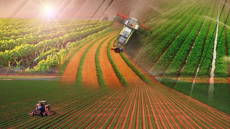 Atıl Tarım Arazileri Üretime Kazandırılıyor: Sezonluk Kiralama Dönemi Başlıyor