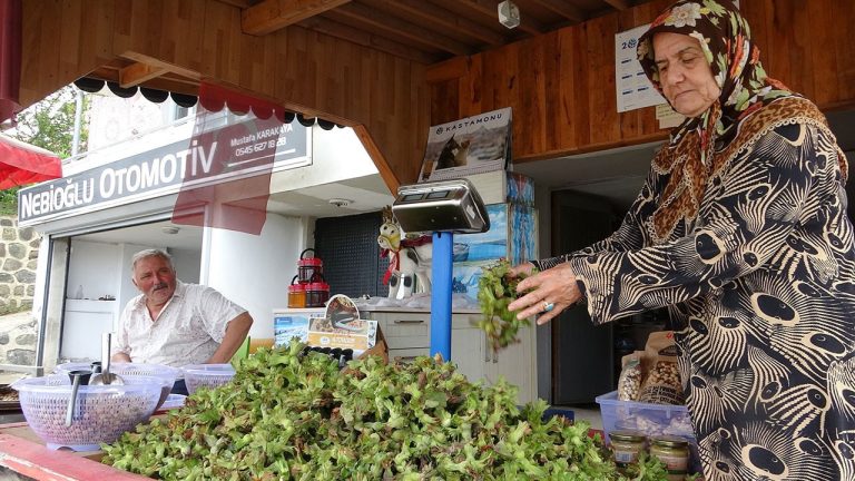 TMO Fındık Fiyatı Açıkladı, Üretici Tezgahta Daha Yükseğe Satıyor