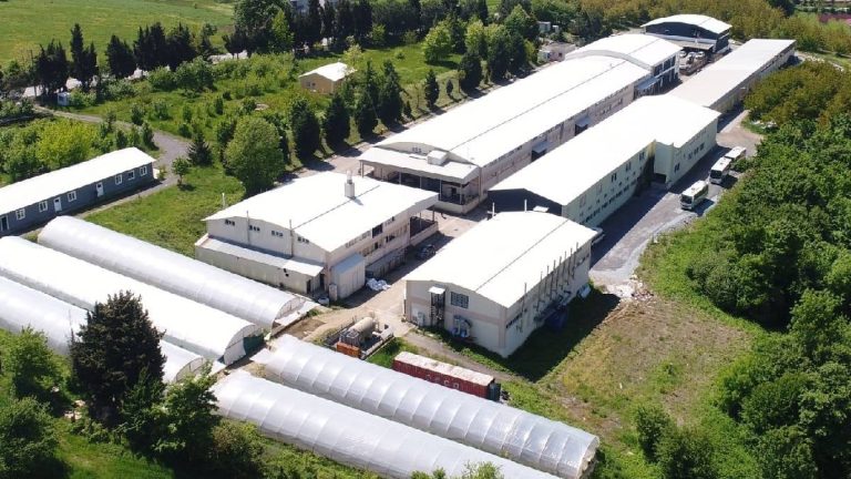 Metraco Konkordato İlan Etti: Hazır Giyim Devinde Mali Sıkıntılar