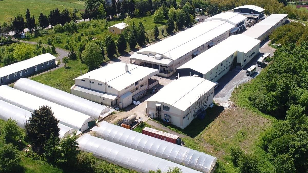 Metraco Konkordato İlan Etti: Hazır Giyim Devinde Mali Sıkıntılar