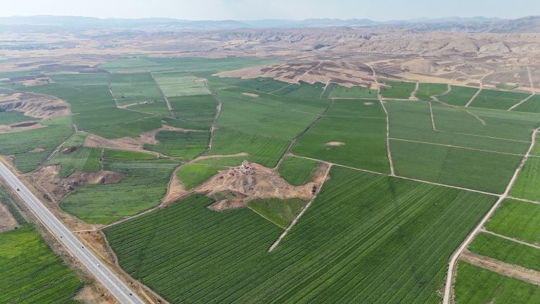 Sivas Bozkırında Patates Bereketi: 110 Bin Dekarda 460 Bin Ton Rekolte