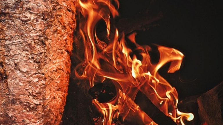 Döner Krizi Çözüldü: Türkiye, AB’deki “Türk Usulü Döner” Tescil Başvurusunu Geri Çekti