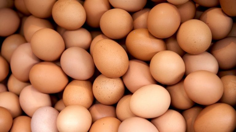 Türkiye’den ABD’ye Yumurta İhracatı Patladı: Yüzde 406’lık Rekor Artış!