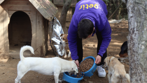 Getir’den Patili Dostlara Büyük Destek: 1 Milyon Kap Mama Hedefi!