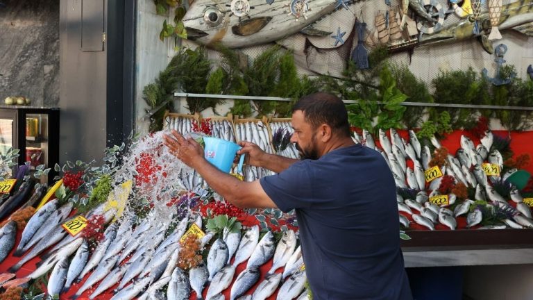 Av Yasağı Kalktı: Balık Tezgahları Şenlendi, Hamsi Fiyatı Şaşırttı!