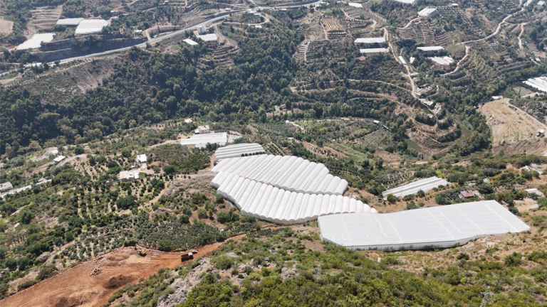 Alanya’da 104 Dönümlük Serada Tropikal Meyve Cenneti: 20’den Fazla Çeşit