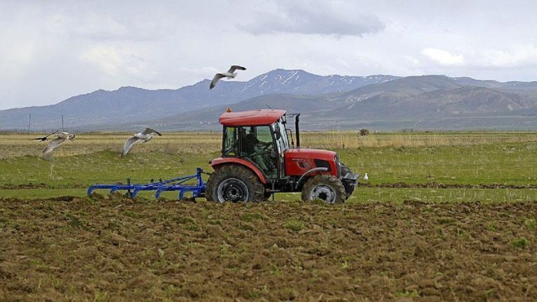 Atıl Tarım Arazileri Üretime Kazandırılıyor: Kırsalda İstihdam Hedefleniyor