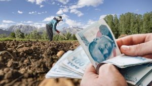 Çiftçiye Müjde: 4,5 Milyar TL’lik Tarımsal Destek Ödemeleri Başladı